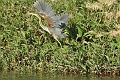 2013 02 09_7226_edited-1